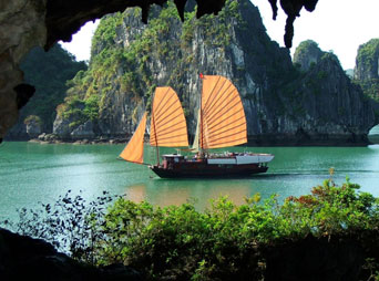 Halong Tour - 1 Day