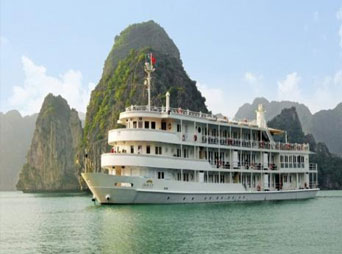 Auco Cruise (Best Price Guarantee)